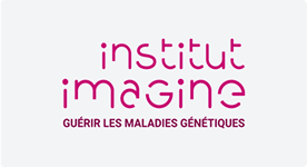 Institut Imagine