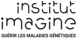 Institut Imagine