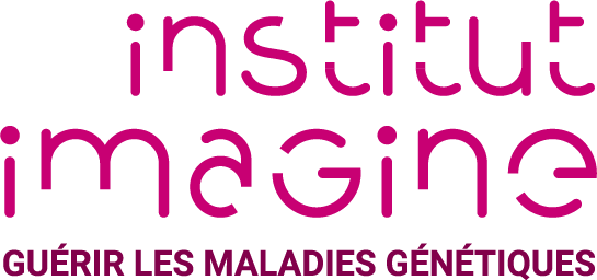 Logo_Imagine