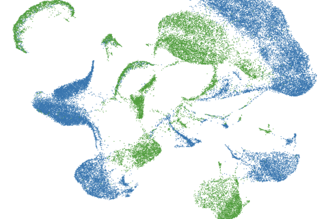 Kawasaki-like-Single_Cell