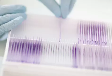 Illustration recherche 2