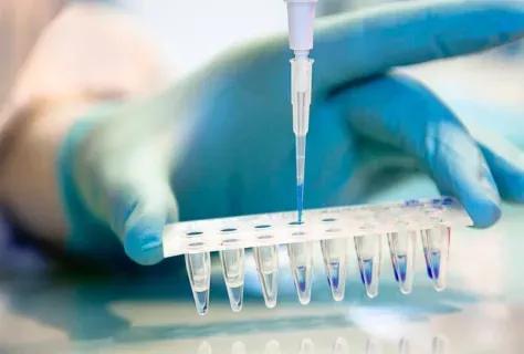 Laboratoire