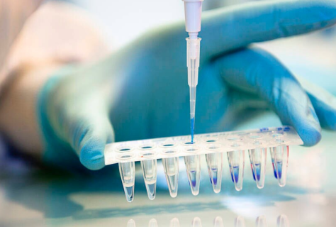 Laboratoire