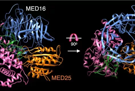 2025 06 En-tête Guillouet