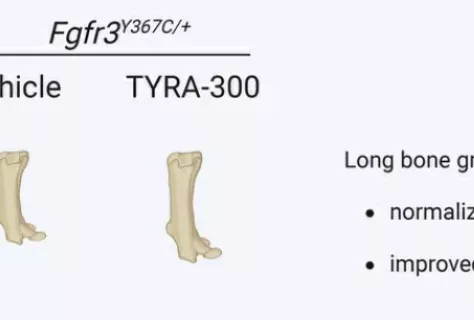 2025 07 En-tête LLM