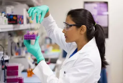 Recherche biomédicale