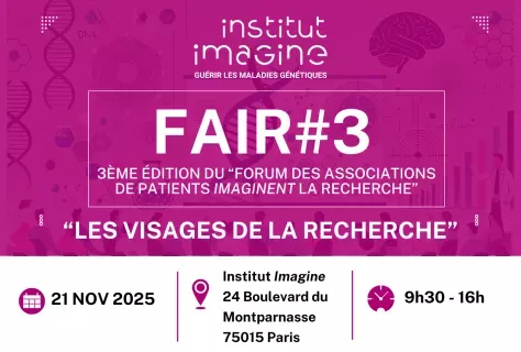 Vignette fair 3