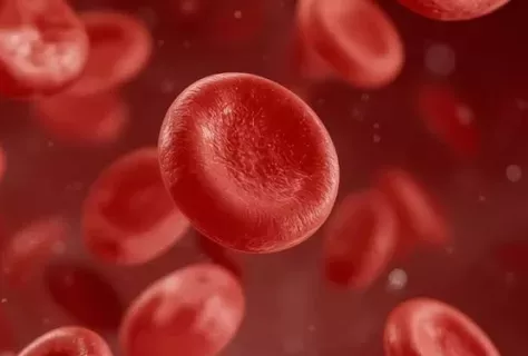 Globules rouges