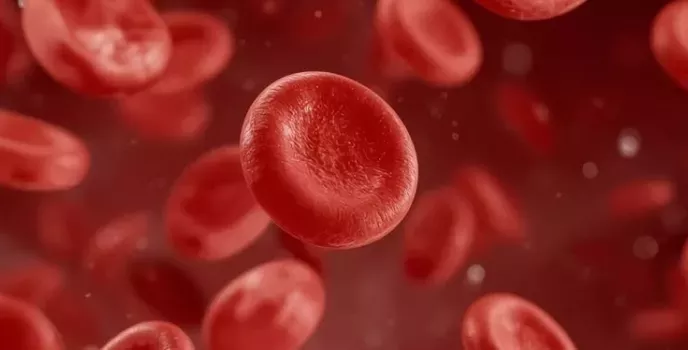 Globules rouges