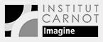 Logo Institut Carnot Imagine