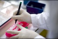 Activite de laboratoire_mains
