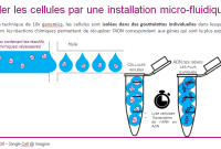 single-cell