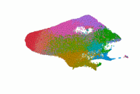 Single Cell - Cell report medicine