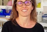 Perrault