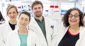 Equipe Edor Kabashi et Rima Nabout