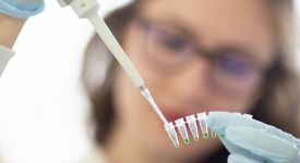 Activite de laboratoire