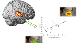 signature cérébrale 
