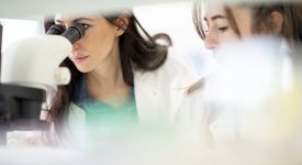 recherche microscope