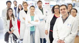 Equipe Edor Kabashi et Rima Nabout