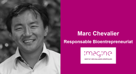 Visuel Marc Chevalier