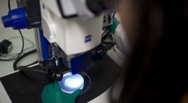 Innovation microscope