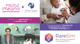 RareSim image
