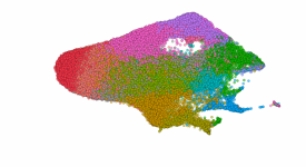 Single Cell - Cell report medicine