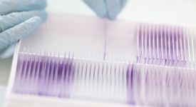 Illustration recherche 2