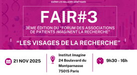Vignette fair 3