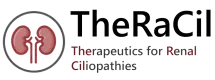 TheRaCil - Therapies for Renal Ciliopathies - Horizon Europe - 2023-2027