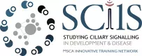 SCILS "Studying Ciliary Signalling  in Development and Disease" - ITN - Europe - 2020-2023