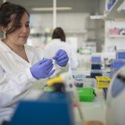 activite_laboratoire